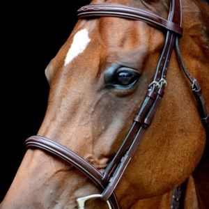 Meet your Posher, Ash